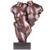 Akt pár, torzó - bronz szobor képe